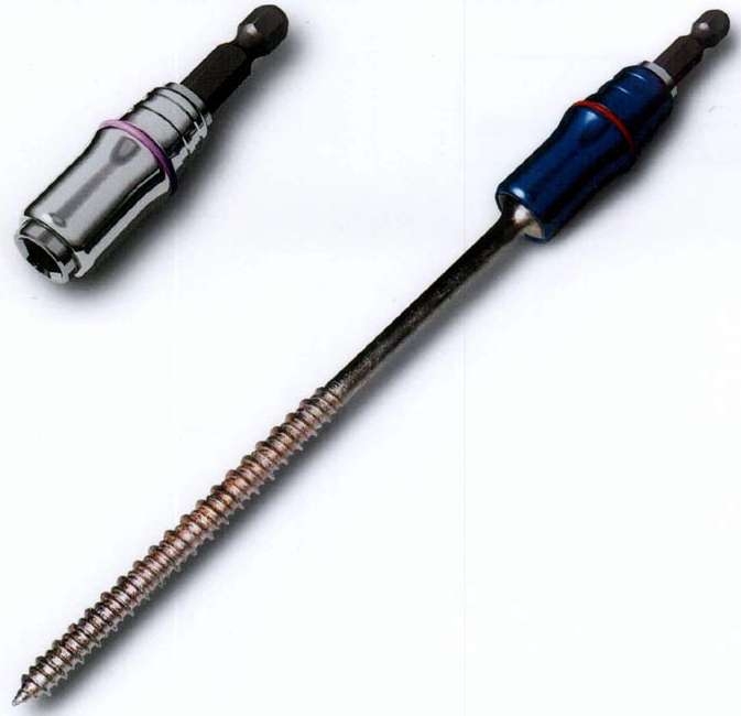 Quick Release Bit and Screw Holders