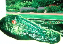 Floating Alligator Head scares birds and small animals.