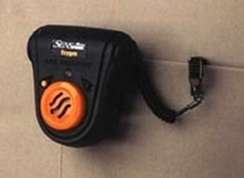 Gas Detectors come with standard alarms.