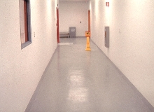 Wall Surfacing System suits bio-pharm environments.