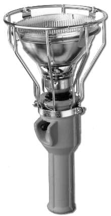 Extension Lights have PAR-38 lamps.