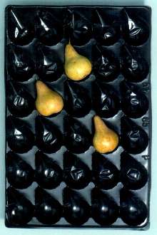 PVC Pear Trays protect fruit during transport.