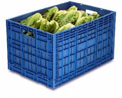 Collapsible Crate provides ventilation for shipping lettuce.