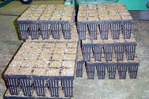 Container System facilitates air pruning of tree roots.