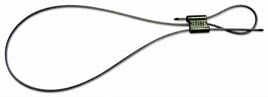 Cable Seal prevents theft of containerized cargo.