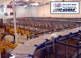 Cross Belt Sorter handles items weighing up to 100 lb. Cross Belt Sorter handles items weighing up to 100 lb.