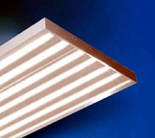 Fluorescent Lighting Fixtures utilize T5/HO lamp technology.
