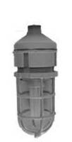 Hazardous Area Lighting Fixtures feature aluminum construction.