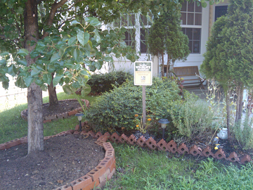 Bunnies Bluebirds And Butterflies A Wildlife Habitat In Your