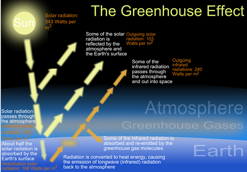 Carbon Dioxide How Can One Little Molecule Be Such A Big Troublemaker