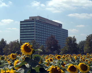 Ford headquarters