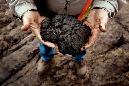 Alberta's black gold.