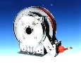 Hose Reel withstands harsh environments.