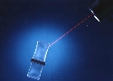 Polyurethane Adhesive contains flourescent trace.