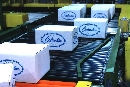 Flow Divider controls palletizer flow.
