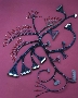 Wire Harnesses are custom packaged.