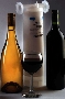 Filter provides prefiltration or final filtration of wine.