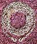 Transportation Chains come as assemblies and as bulk chain.