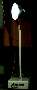 Light Stand holds HID lamp fixture.