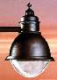 Luminaires provide outdoor and roadway lighting.