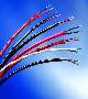 Linear Heat Sensor detects heat over entire length.