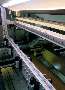 Web Inspection System provides OPC and ODBC data access.