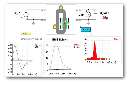 Software extracts lumped parameter circuit models.