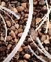 Polypropylene Tubing meets FDA requirements for food contact.