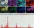 Microanalysis Software displays up to 36 images.