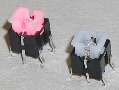 Illuminated Tactile Switch suits audio/video applications.