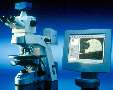 Upright Microscope meets demands of materials research.