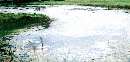 Water Treatment Solution clarifies lakes and ponds.