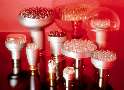 Infrared LED Lamps enable image capture in total darkness.