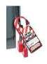 Lockout Hasp offers high visibility.