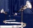 Light Kit provides flexible track lighting.