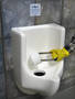 
No Flush Needed
