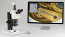 Digital HD Microscope Cameras captures detailed images/video.