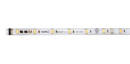 LED Tape Light System can be dimmed using ELV dimmer.