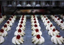 Food Contact Safe Thermoplastic offers compliance, durability.