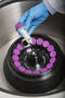 Fixed-Angle Rotor increases centrifugation throughput.