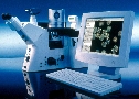 Metallurgical Microscope provides QC and failure analysis.