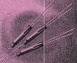 Reed Switch features max glass length of 15 mm.