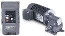 Inverter Duty Gearmotors come in 2 shaft configurations.