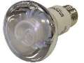 Fluorescent Lamp suits indoor and outdoor applications.