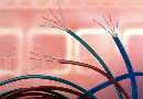 UTP Cables extend video and data transmission.