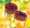 High Temperature Inductors withstand up to 200°C.