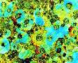 Digital Camera takes color photos of microscopic specimens.
