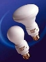 Electrodeless CFL provides 15,000 hr life.