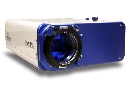 Interferometer uses high-speed optical phase sensor.