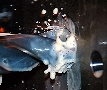 Metalworking Fluid is formulated for soft water.